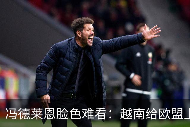 冯德莱恩脸色难看：越南给欧盟上了一课：什么叫 “中国力量”
